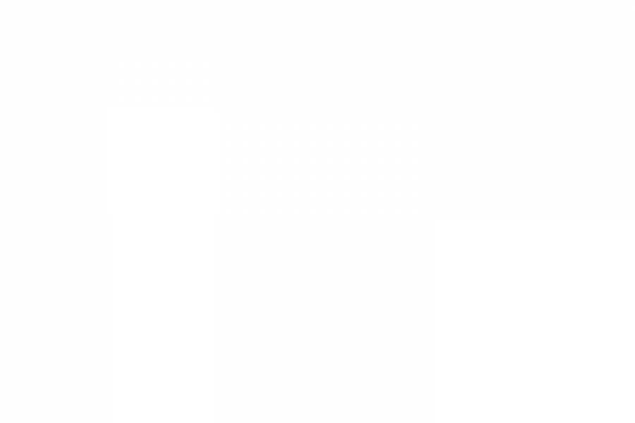 rico-e-lazaro-2